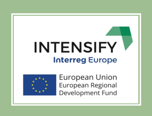 Newsletter n.6 e aggiornamenti dal progetto europeo INTENSIFY