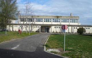 Palestra